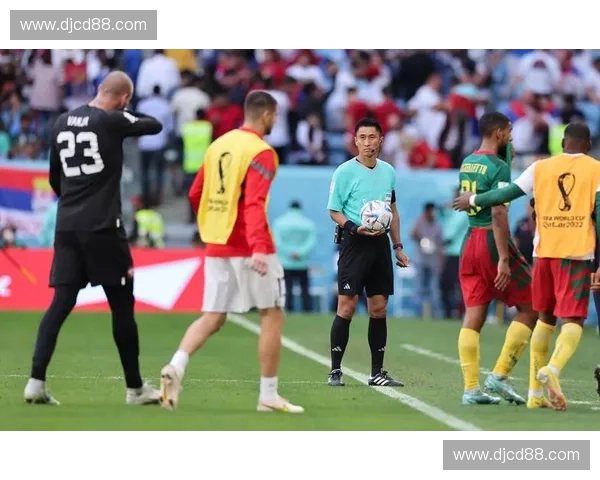 世界杯黄牌数据解析与各队纪律表现深度观察及趋势研判全球视角评